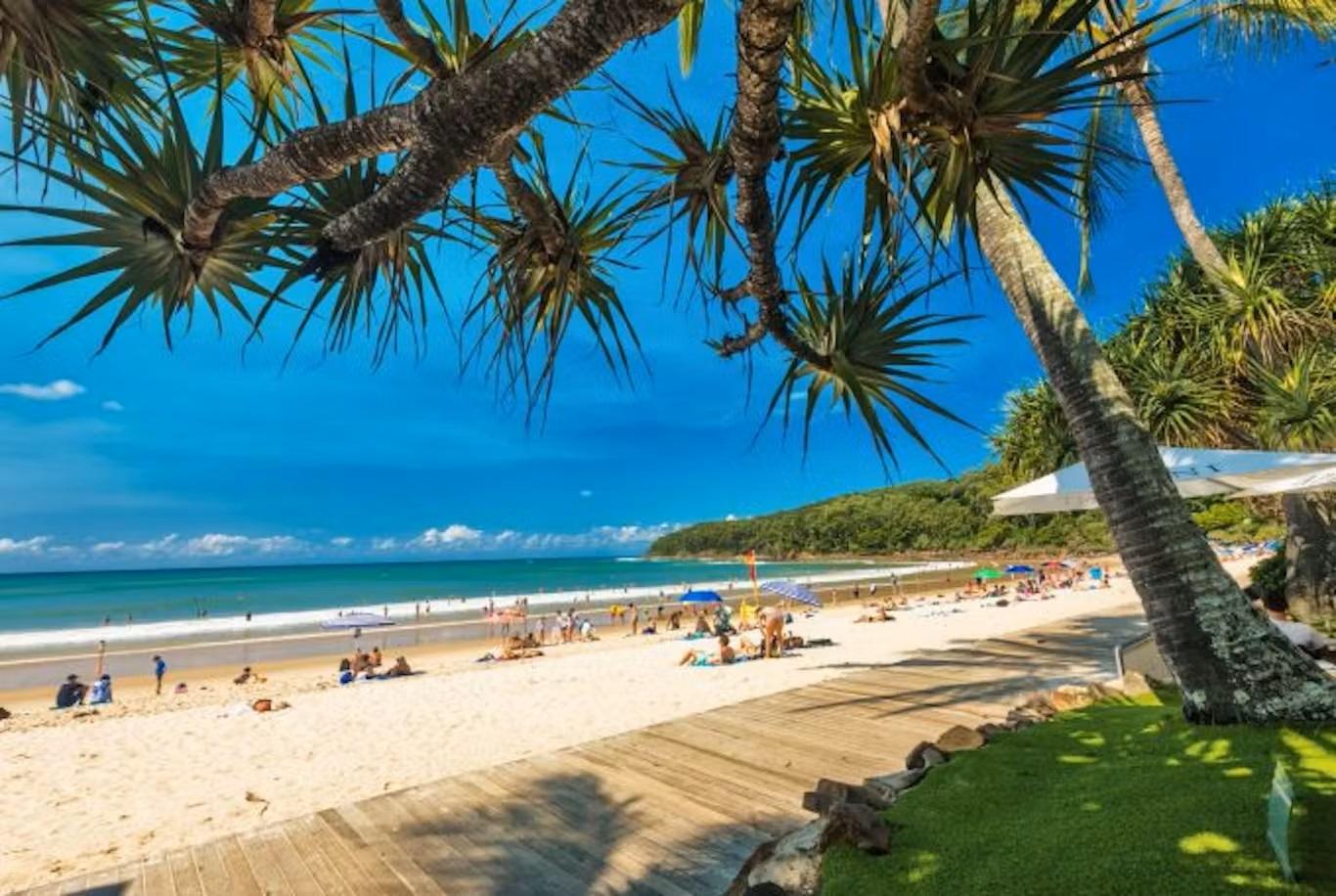 The Noosa World Surfing Reserve